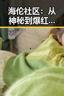 海伦社区：从神秘到爆红的娱乐圈“瓜”大巡礼 🎬✨