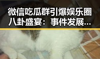 微信吃瓜群引爆娱乐圈八卦盛宴：事件发展全纪实